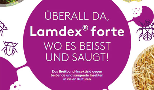 Produkt - LAMDEX FORTE - Content