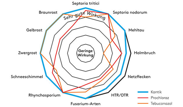 Produkte - fungizide - Leistungsprofil KANTIK