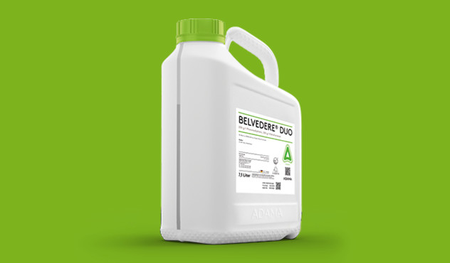 Belvedere Duo Kanister
