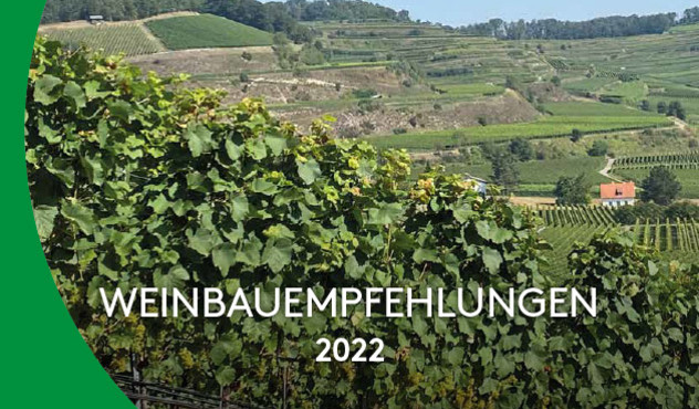 Broschüre - Weinbau 2022 - DE