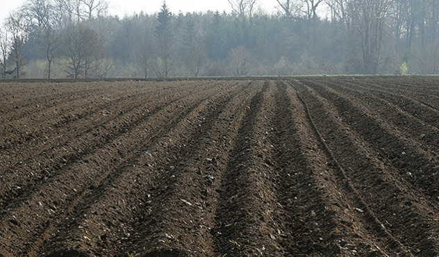 Kulturen - Kartoffeln - Kartoffelacker im Frühjahr