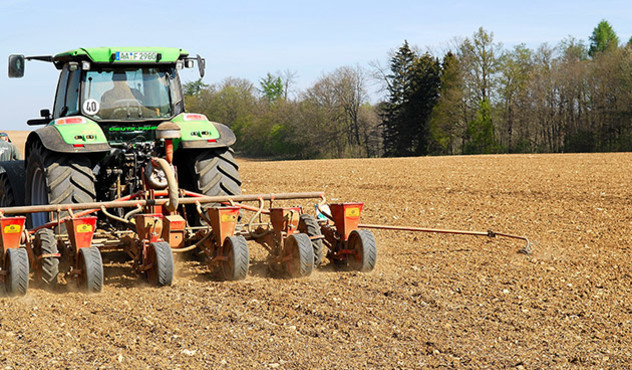 Aussaat auf dem Feld: Bodentemperatur