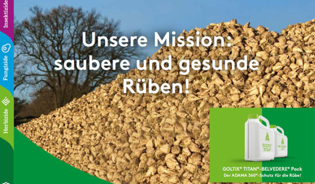 Broschüre Produkte Rübe 2022