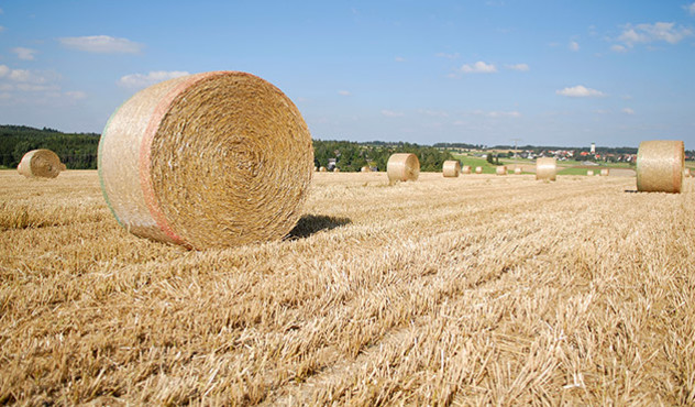 Kulturen Getreide Strohernte