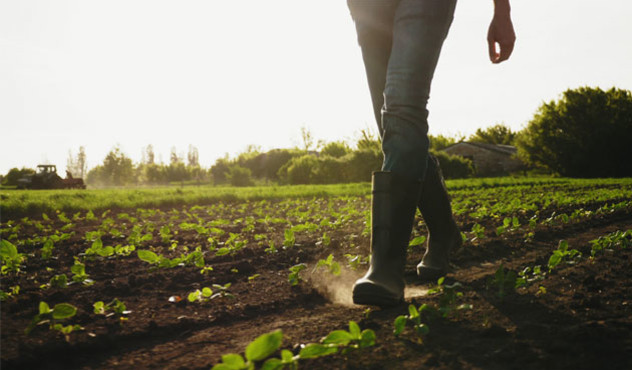 Farmer läuft über das Feld