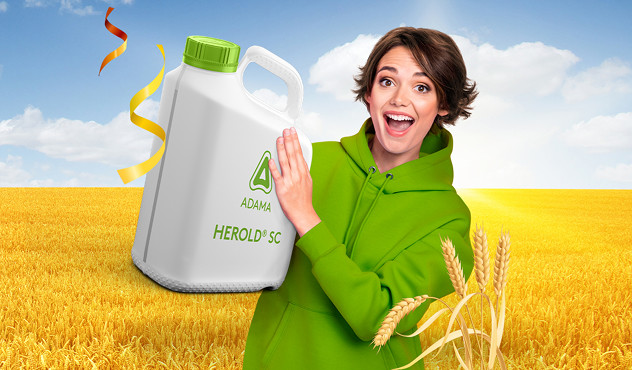 Herold Kampagne 2023 image