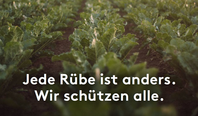 Jede Rübe ist anders- wir schützen alle