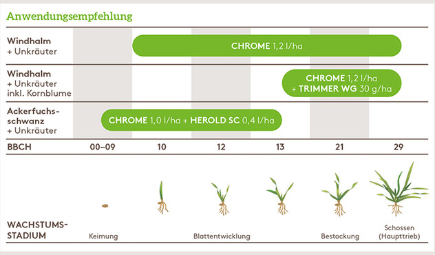 Anwendungsempfehlung Chrome