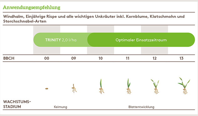 Anwendungsempfehlung Trinity