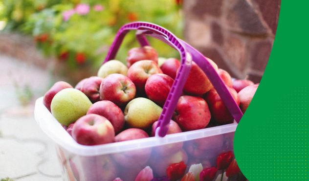 Obstbaubroschüre 2025