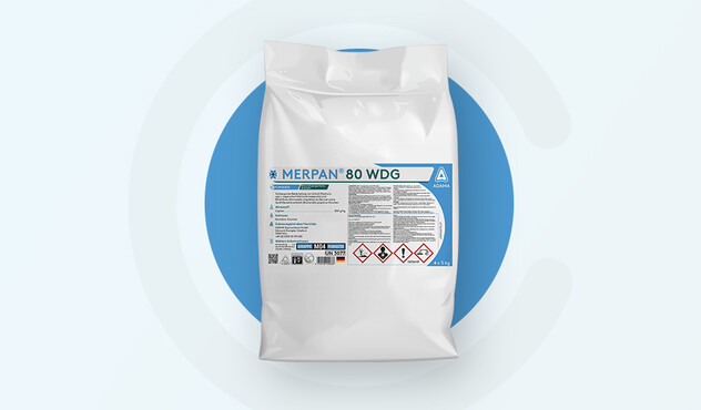 Merpan 80 WDG - blauer Kreis