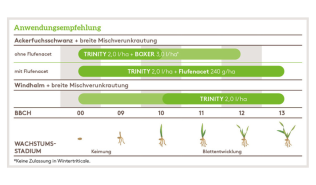 Anwendungsempfehlung Trinity