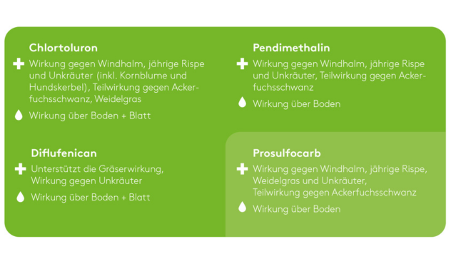 TRINITY Wirkstoffe