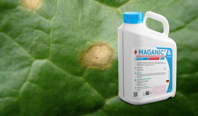 Maganic Kanister vor Rübenblatt