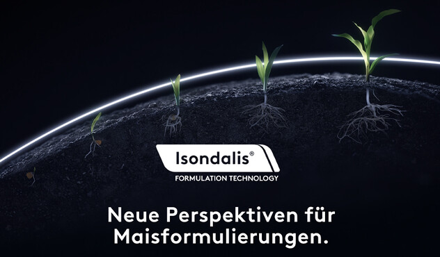 Isondalis Formulierung