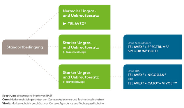 Telavex Entscheidungsbaum