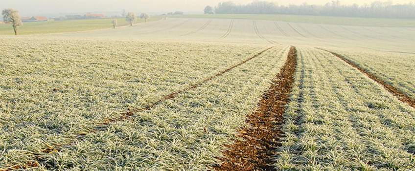Winterveranstaltungen 2023