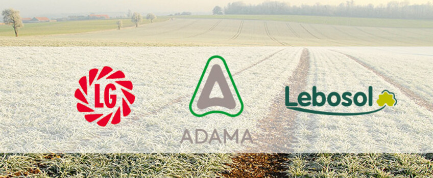 Winterveranstaltung ADAMA 2025 mit LG Seeds und Lebesol