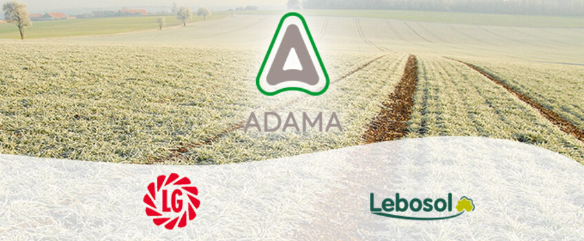 Winterveranstaltung 2026 LG Seeds - Lebesol