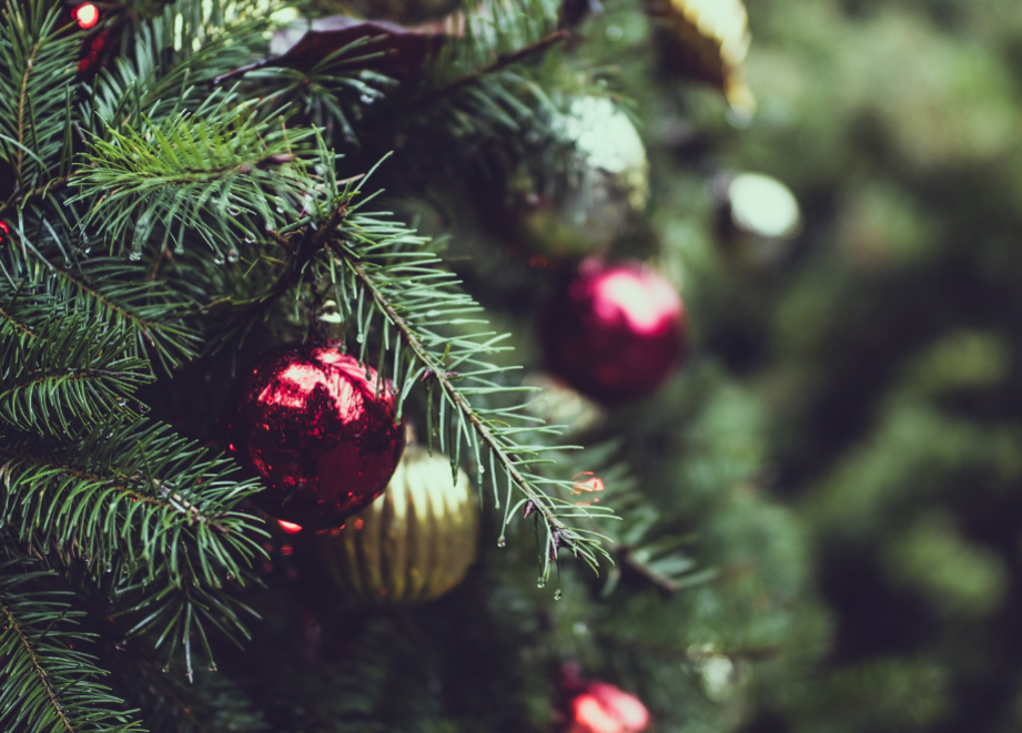 Tannenzweig mit Weihnachtskugel