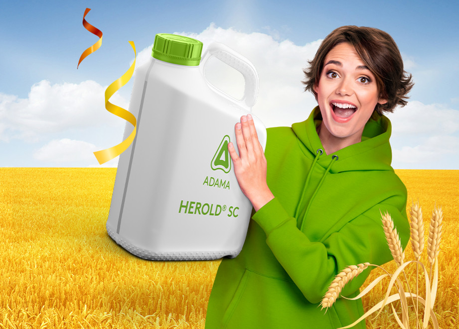 Herold Kampagne 2023 Header