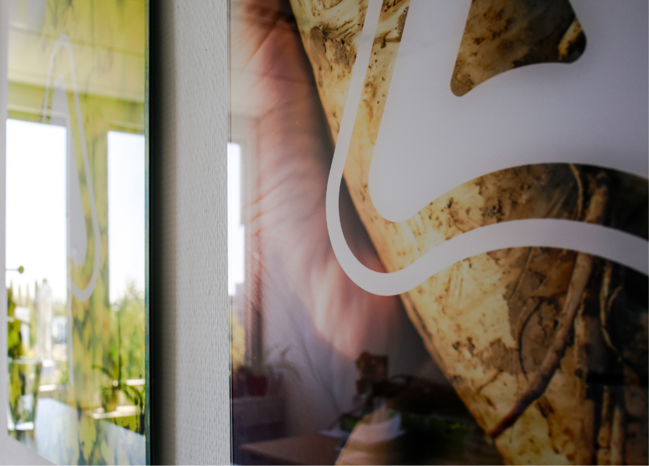 Corporate Header