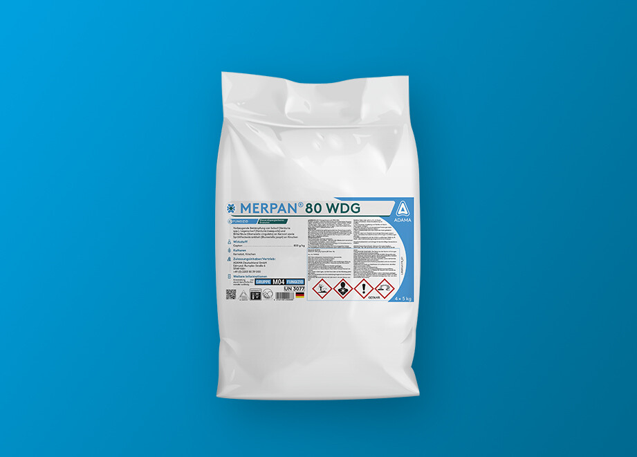 Merpan 80 WDG - Header
