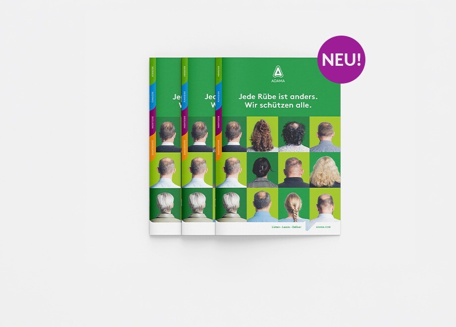 Rübenbroschüre 2026 - Headerbild