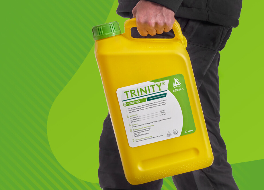 TRINITY_2026_Homepage
