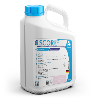 SCORE®