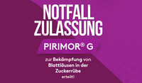 Notfallzulassung Pirimor in der Zuckerrübe