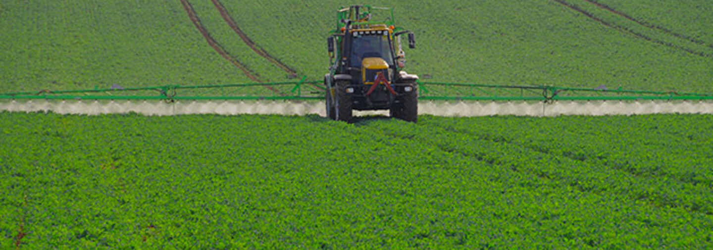 Produkte - Herbizide - Raps