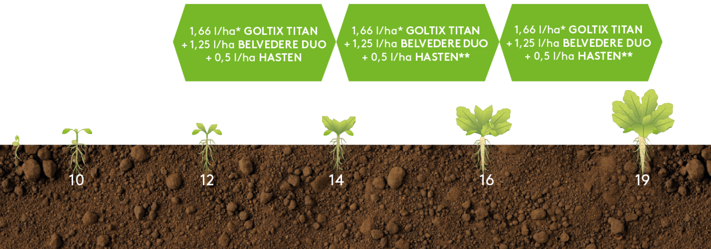Anwendungsempfehlung Goltix Titan Belvedere Pack