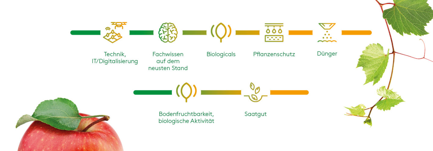 Biologicals - Bausteine für eine nachhaltige Landwirtschaft