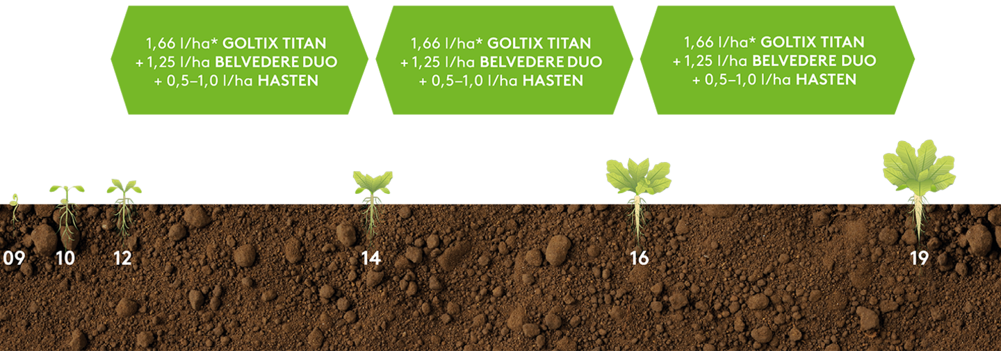 Anwendungsempfehlung Goltix Titan + Belverdere Duo