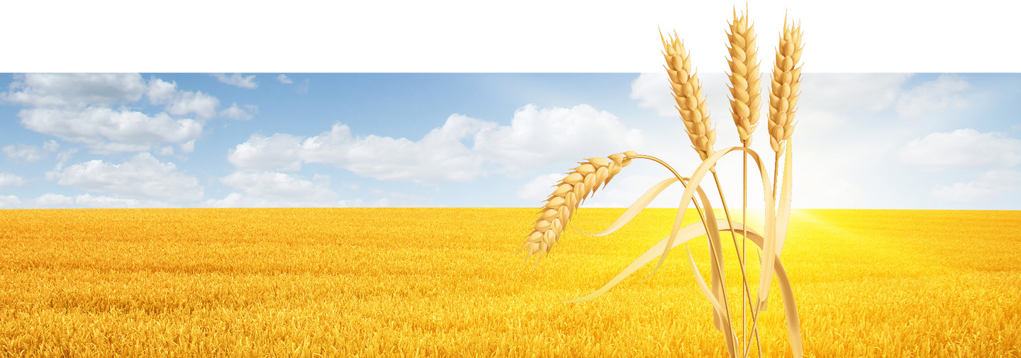Herold Kampagne 2023 wide image