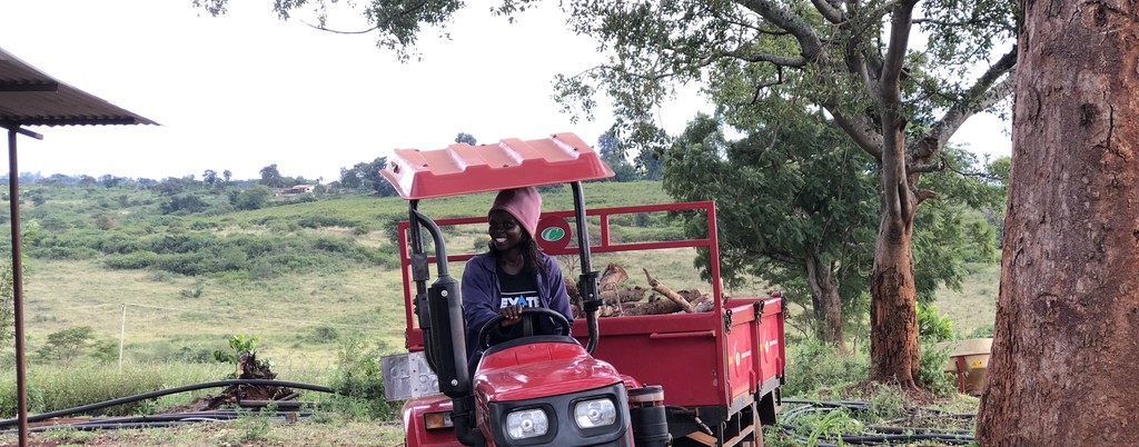 Africa