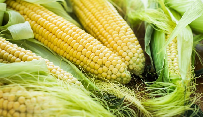 Corn