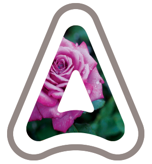 roses logo