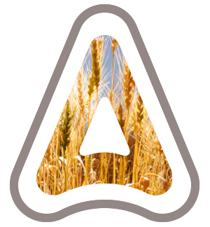 wheat logo
