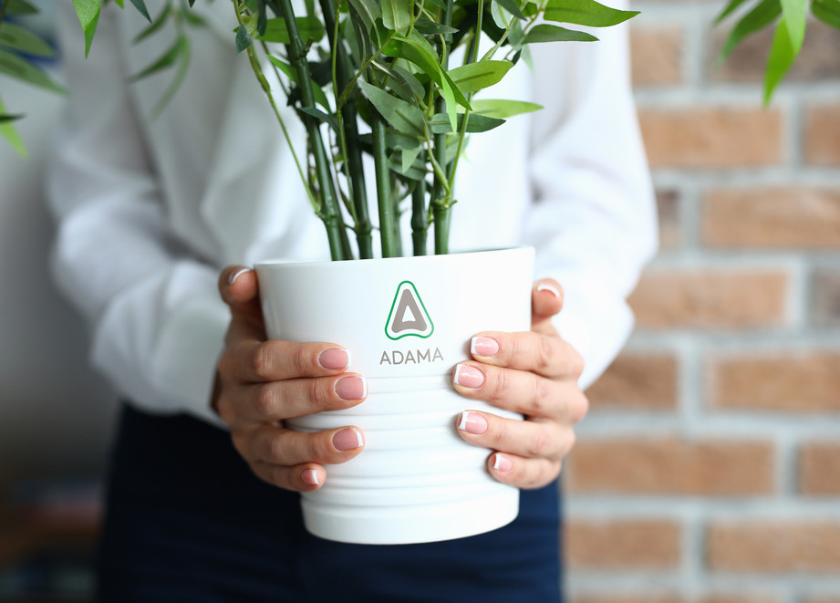 a pot in hands