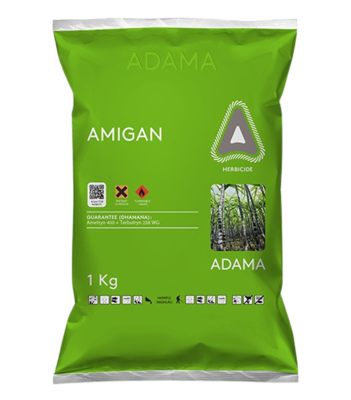 Amigan