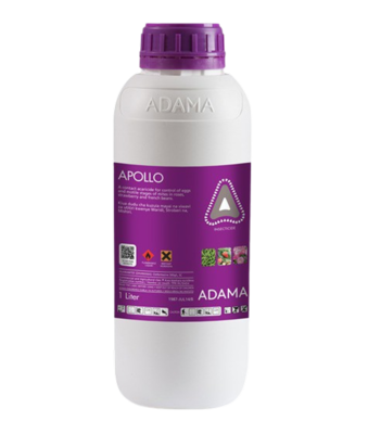 Apollo