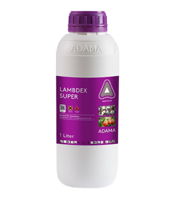 Lamdex Super