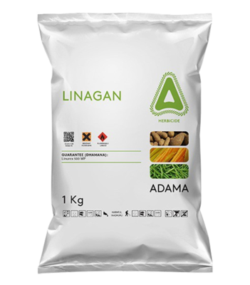 Linagan