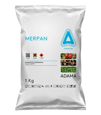 Merpan