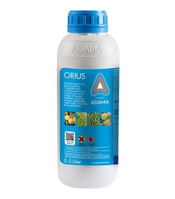 Orius