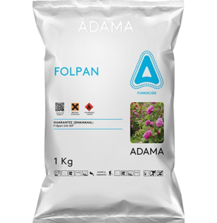 Folpan