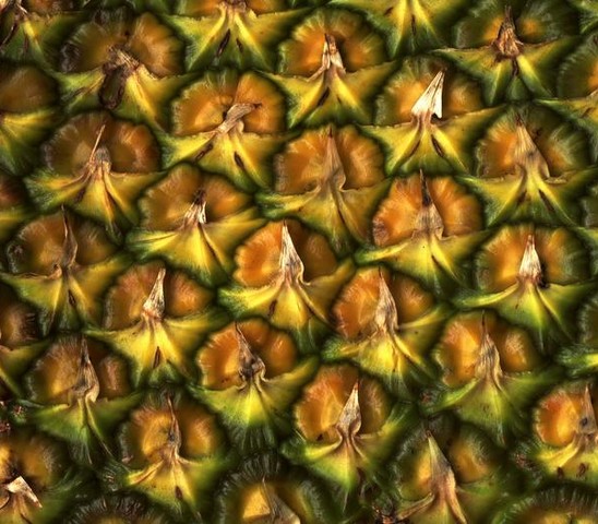 Pineapple Texture Up Close