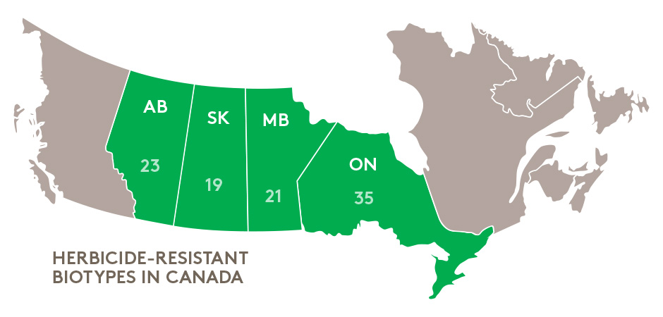 2016-06-13 Outshine Herbicide Map